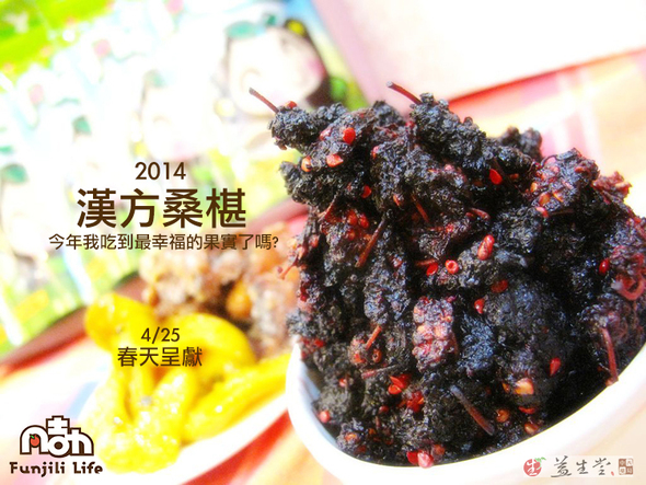 ▶2014春季500包 漢方桑椹全部結束◀ 今年吃到幸福果實嗎? 只能等到2015春天才能吃到了!