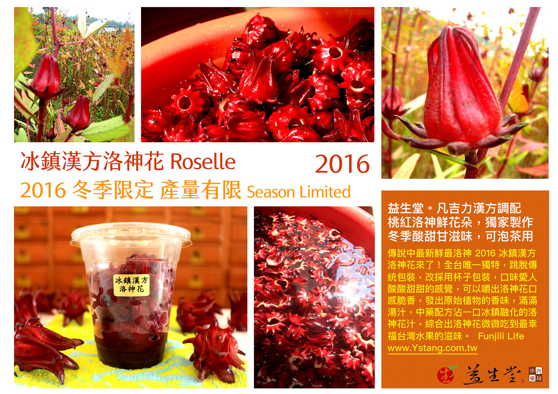 HOT 2016 最新冬季限定【冰鎮漢方洛神花】～ 全球限量 益生堂凡吉力獨家，第一批800杯 ▶ 滿滿150公克洛神花朵 120ml 洛神湯汁，全新登場！！！◀