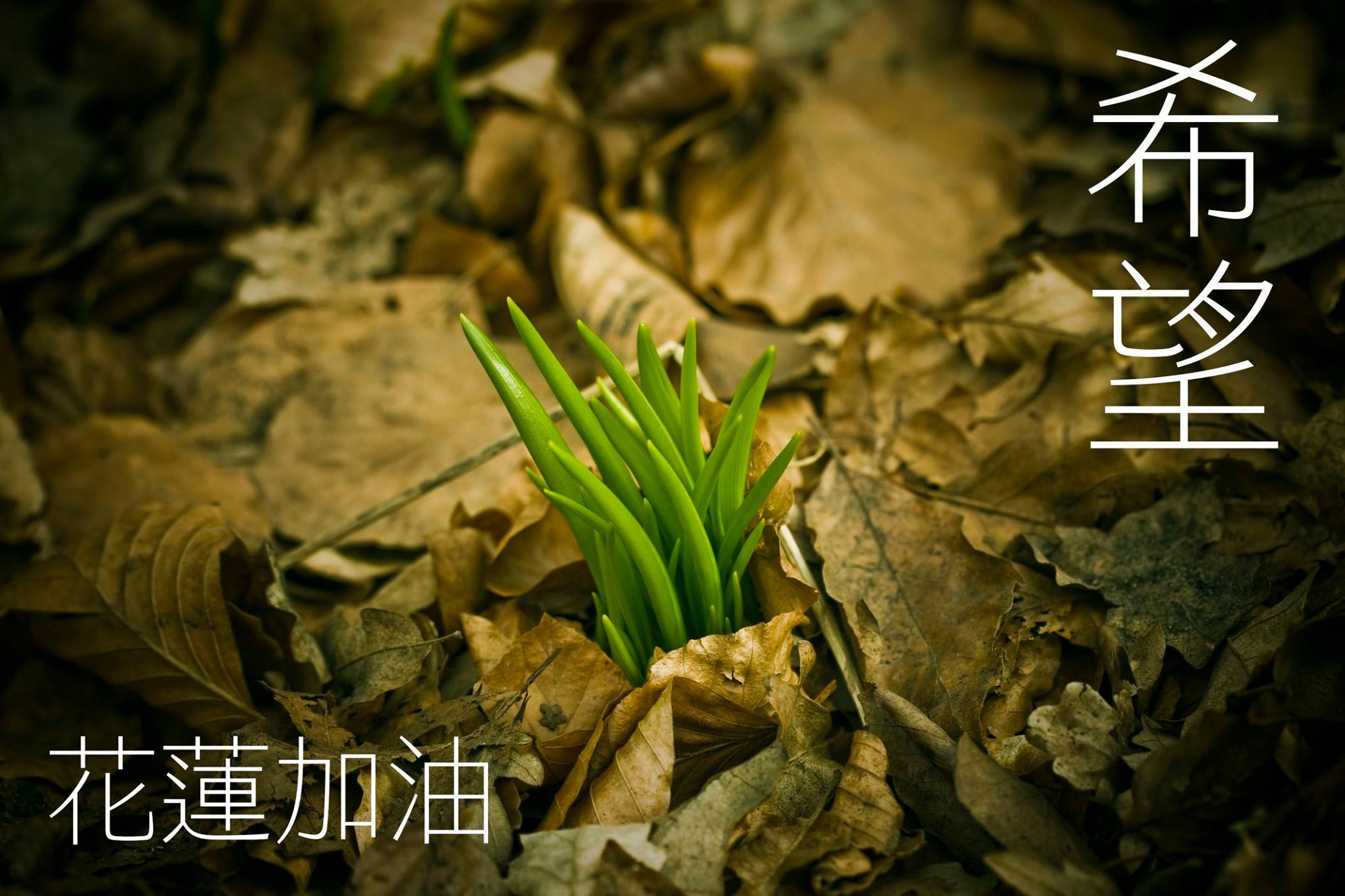 為所有花蓮的夥伴朋友，加油打氣！ 我們與您同在，身為臺南人感同深受～ 大家都生活在同一塊土地上， 希望一切能盡快過去，重新站起來！ 繼續往前走，相信奇蹟會發生～