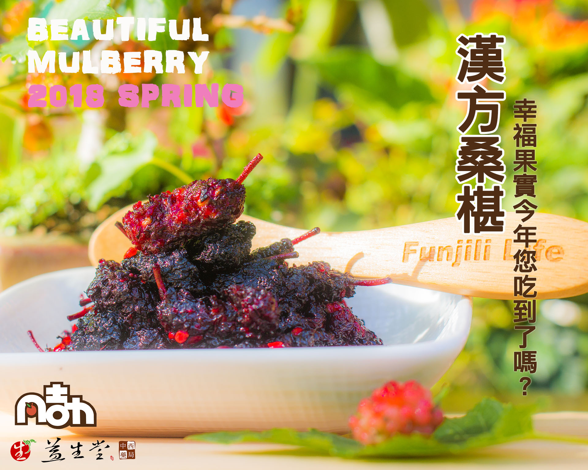 HOT!本店隱藏版第一名【春季限定】漢方桑椹 (大包裝) ～ 2018 最後第二批800包，第一批已熱門完售～新鮮珍貴幸福桑椹獨家製作果實，滿滿大包裝呈獻給您！！！