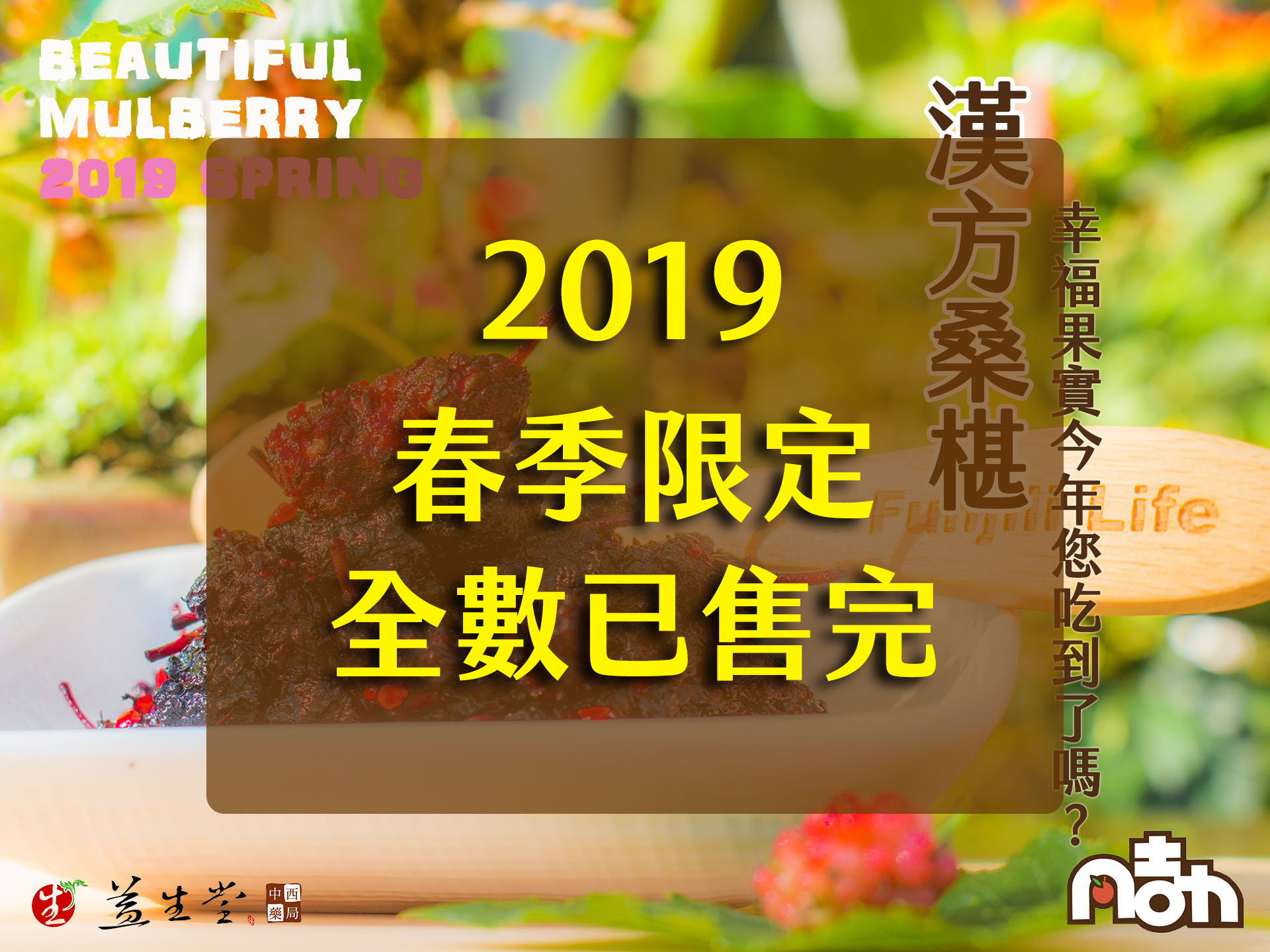 【春季限定 全數已售完】本店隱藏版第一名 漢方桑椹 (大包裝) ～新鮮珍貴幸福桑椹獨家製作果實，滿滿大包裝呈獻給您！！！